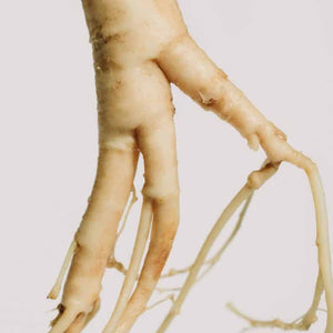 El ginseng