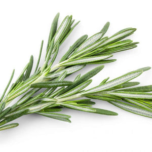 Rosemary